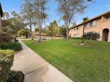 11231 Avenida De Los Lobos - Photo 5