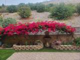 2756 Bellezza Dr. - Photo 5
