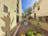 4082 Albatross St - Photo 48