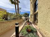 4082 Albatross St - Photo 49