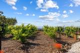 18264 Avenida Manantial - Photo 22