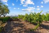 18264 Avenida Manantial - Photo 29