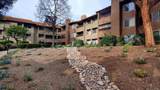 10225 Caminito Cuervo - Photo 30