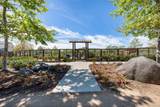 35164 Grove Trail - Photo 42