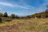3318 Black Oak Ln - Photo 12