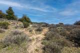 3318 Black Oak Ln - Photo 28