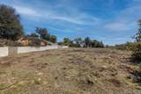 3318 Black Oak Ln - Photo 9