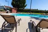 2003 Costa Del Mar Rd - Photo 3