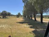 41083 Old Highway 80 - Photo 22