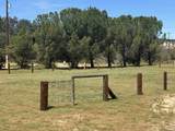 41083 Old Highway 80 - Photo 27