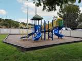 9929 Azuaga St - Photo 15