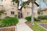 11325 Avenida De Los Lobos - Photo 1
