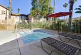 11325 Avenida De Los Lobos - Photo 28
