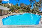 8745 Caminito Sueno - Photo 39