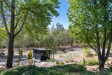 1451 Nors Ranch Road - Photo 41