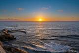 939 Coast - Photo 30