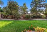 1231 Avenida Amistad - Photo 32