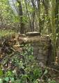 38 Creek Rd. - Photo 11