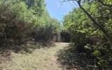 38 Creek Rd. - Photo 4