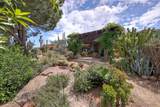 23002 Arjo Lane - Photo 40