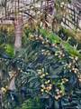 3542 Wawona Dr - Photo 48