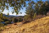 5298 Pine Hills Rd. - Photo 9
