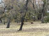 4129 Eagle Peak - Photo 19
