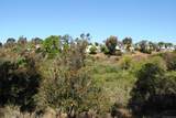 6116 Calle Mariselda - Photo 28