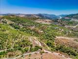 31675 Rancho Amigos Rd - Photo 1