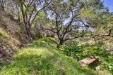 31675 Rancho Amigos Rd - Photo 11