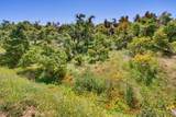 31675 Rancho Amigos Rd - Photo 14