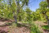 31675 Rancho Amigos Rd - Photo 19