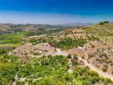 31675 Rancho Amigos Rd - Photo 6