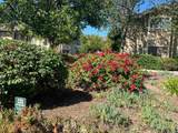 3525 Grove - Photo 29
