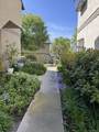 3684 Avocado Village - Photo 3