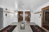 1388 Kettner - Photo 50