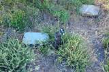 17893 Winn Ranch Rd - Photo 14