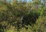 17893 Winn Ranch Rd - Photo 15