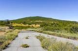 17893 Winn Ranch Rd - Photo 9