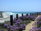 12261 Carmel Vista Rd - Photo 40