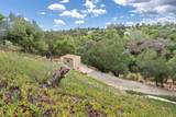 2557 Live Oak Park Rd - Photo 42