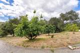 2557 Live Oak Park Rd - Photo 47