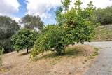 2557 Live Oak Park Rd - Photo 48
