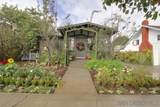 3970 Harney St - Photo 4