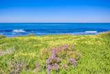 245 Coast - Photo 31