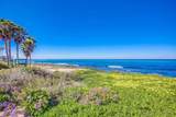 245 Coast - Photo 32