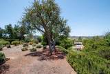 16644 Roca Dr. - Photo 30