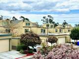 10535 Caminito Banyon - Photo 1