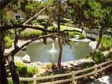 17189 Bernardo Dr - Photo 21