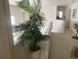 4534 Da Vinci St - Photo 7